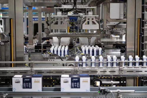 同心筑梦携手开新篇 宁夏用心用情用力作好产业转移发展对接大文章